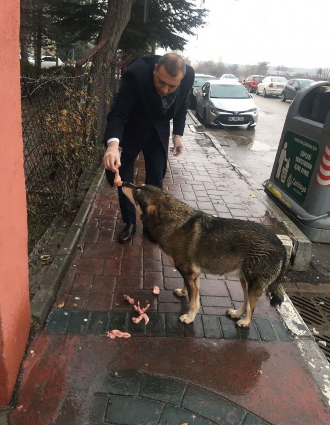 baskan-erdogan’dan-can-dostlarimiz-icin-anlamli-cagri-(1).jpg