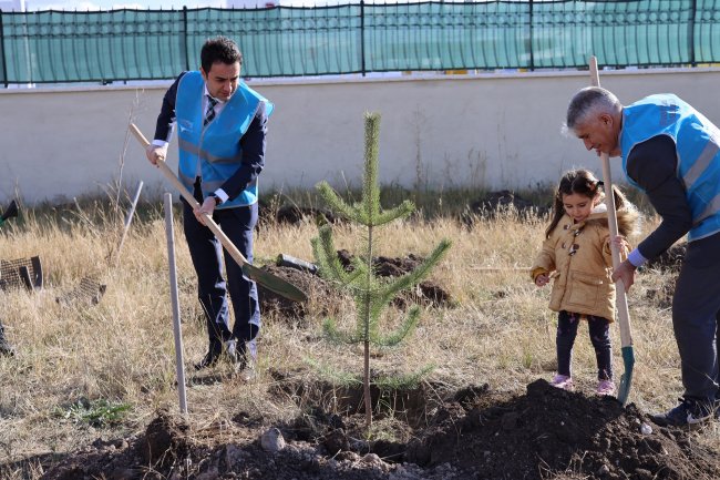 bassavci-amanvermez-fidan-dikti-(4).jpg