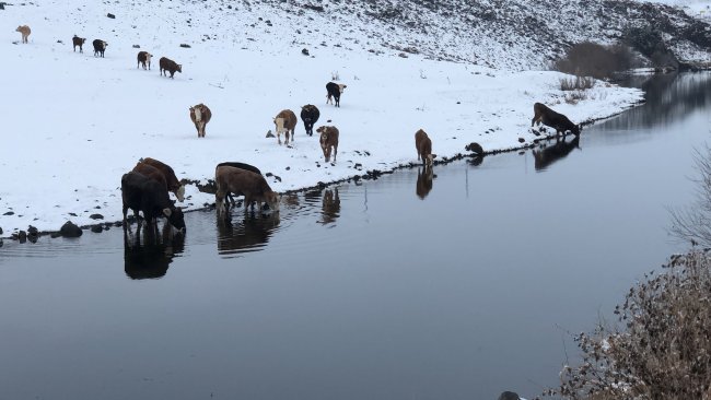 kars’ta-beyaz-ile-mavi-buyuluyor-(7).jpg