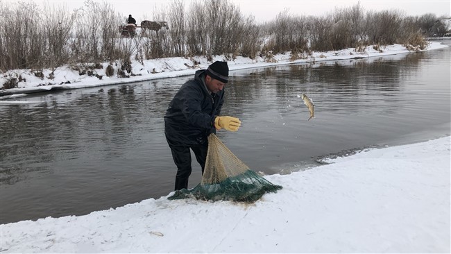 kars’ta-eksi-20’de-balik-avliyorlar-(11).jpg