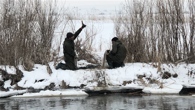 kars’ta-eksi-20’de-balik-avliyorlar-(13).jpg