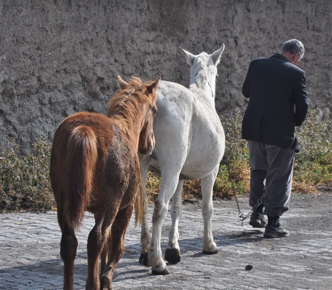 kars’ta-olasi-kaza-ve-hirsizliga-cipli-koruma!-(12).jpg