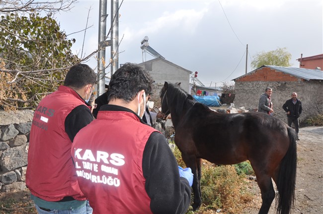 kars’ta-olasi-kaza-ve-hirsizliga-cipli-koruma!-(8).jpg