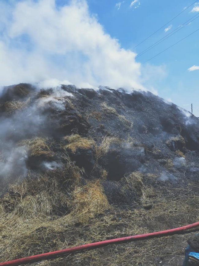 kars’ta-tonlarca-ot-kul-oldu-(1).jpg