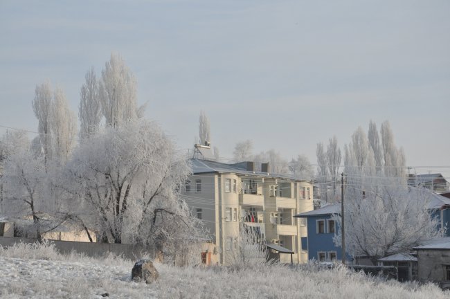 kars-buz-kesti,-agaclar-kiragi-tuttu-(1).jpg