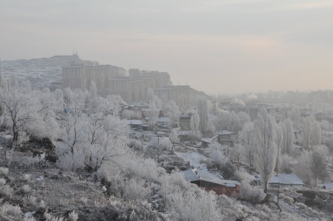 kars-buz-kesti,-agaclar-kiragi-tuttu-(3).jpg