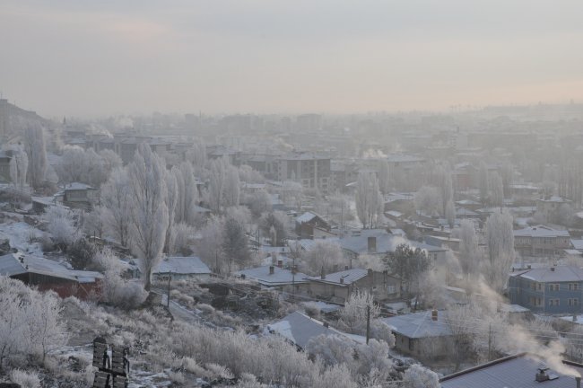 kars-buz-kesti,-agaclar-kiragi-tuttu-(4).jpg