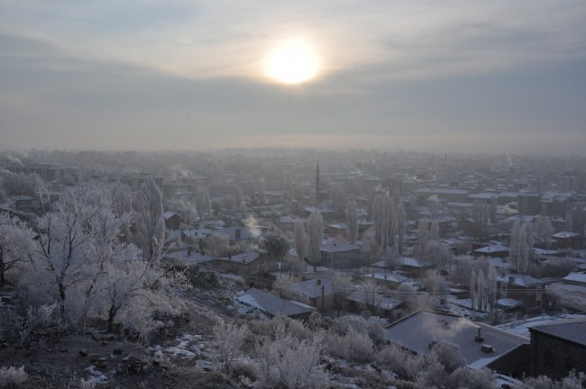 kars-buz-kesti,-agaclar-kiragi-tuttu-(5)-001.jpg