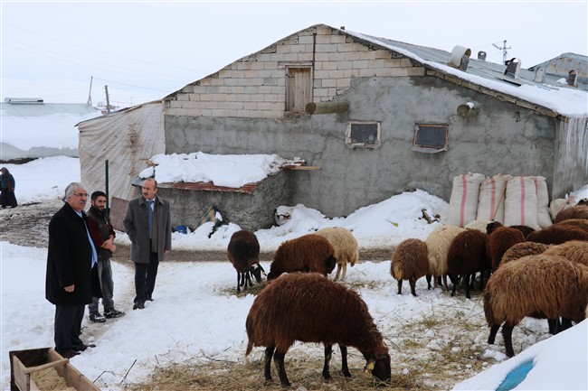 karsta-genc-ciftci-projesi-meyvelerini-veriyor-(6).jpg