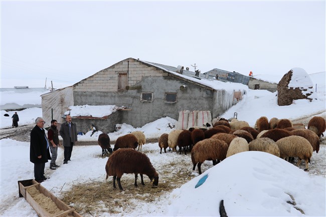 karsta-genc-ciftci-projesi-meyvelerini-veriyor-(9).jpg