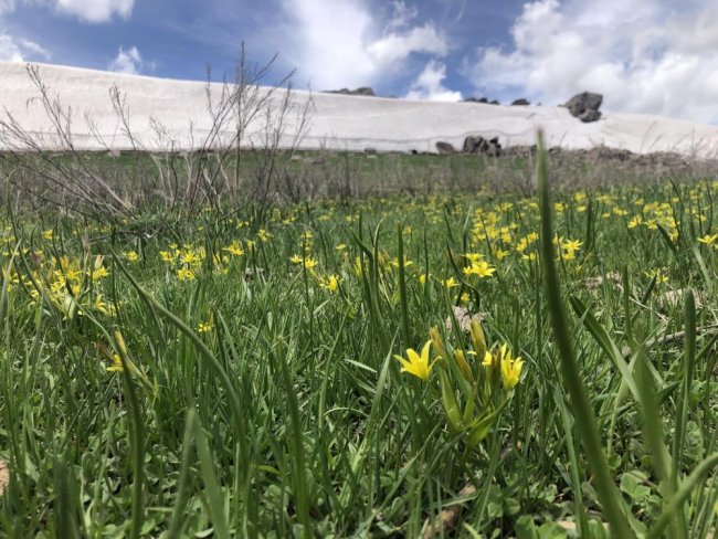 kars’ta-5-metre-yuksekliginde-kar-kutlesi-gorenleri-sasirtti-(1).jpg