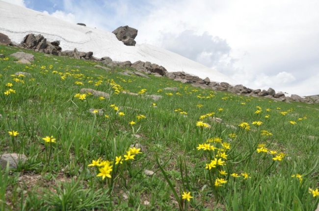 kars’ta-5-metre-yuksekliginde-kar-kutlesi-gorenleri-sasirtti-(3).jpg