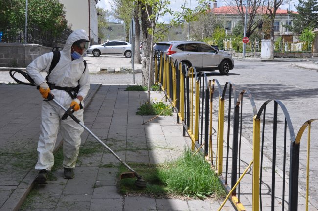 kars’ta-yabani-otlar-temizleniyor!-(1).jpg