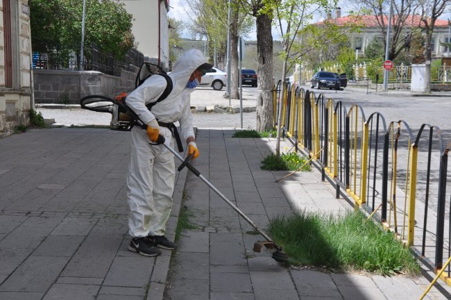 kars’ta-yabani-otlar-temizleniyor!-(2).jpg