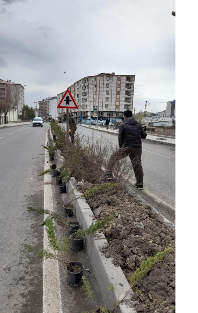 kars-belediyesi-refujlerde-agaclandirma-calismasi-baslatti-(2).jpg