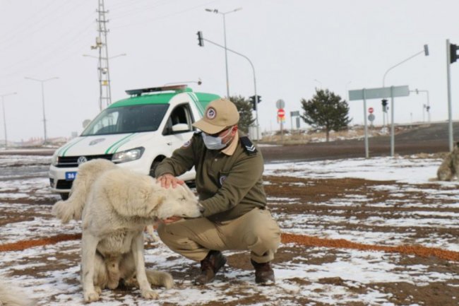 kars-polisi,-kisitlamada-sokak-hayvanlarini-unutmadi-(1).jpg