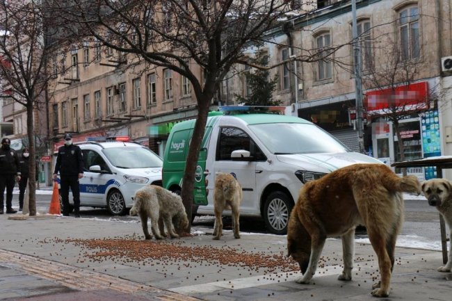 kars-polisi,-kisitlamada-sokak-hayvanlarini-unutmadi-(2).jpg