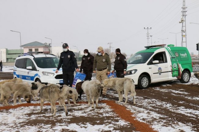 kars-polisi,-kisitlamada-sokak-hayvanlarini-unutmadi-(3).jpg