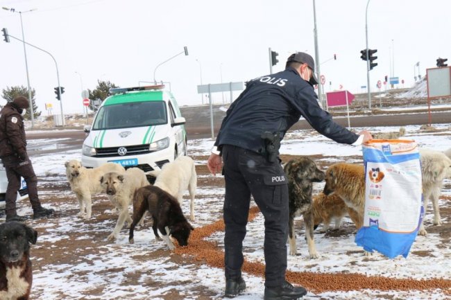 kars-polisi,-kisitlamada-sokak-hayvanlarini-unutmadi-(4).jpg