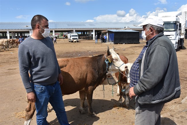 karsta-bati-illerine-gonderilen-kurbanliklar-yola-cikti-(18).jpg