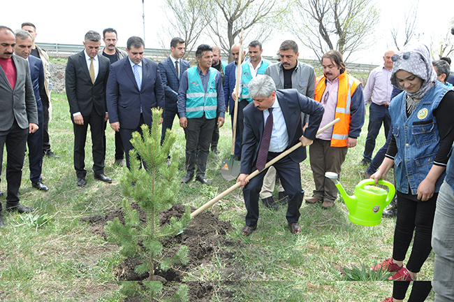 karsta-denetimli-hukumluler-fidan-dikti-(1).jpg