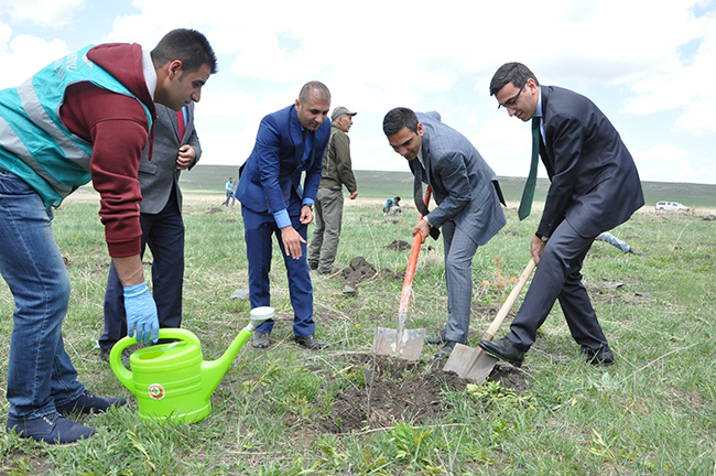 karsta-denetimli-hukumluler-fidan-dikti-(5).jpg