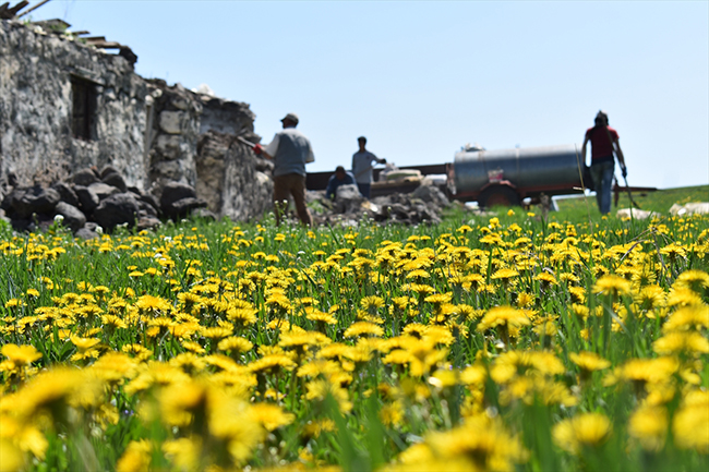 karsta-yayla-hazirligi-(1).jpg