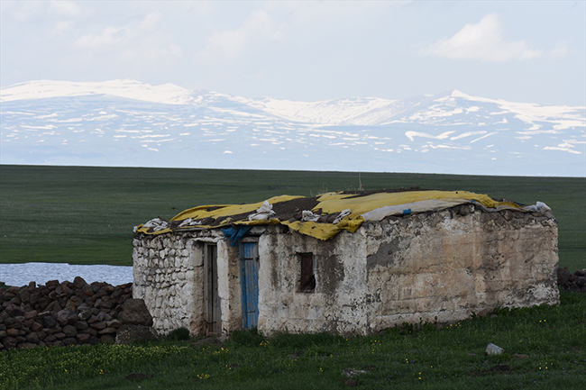 karsta-yayla-hazirligi-(4).jpg