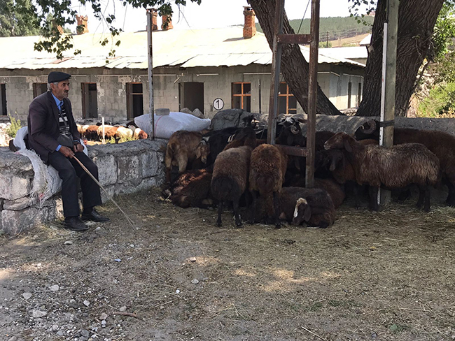 sarikamis’ta-hayvan-pazari’nda-durgunluk-yasaniyor-(1).jpg