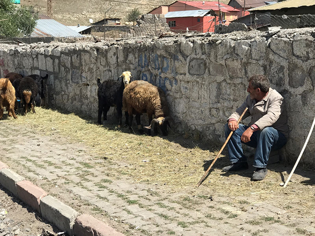 sarikamis’ta-hayvan-pazari’nda-durgunluk-yasaniyor-(2).jpg